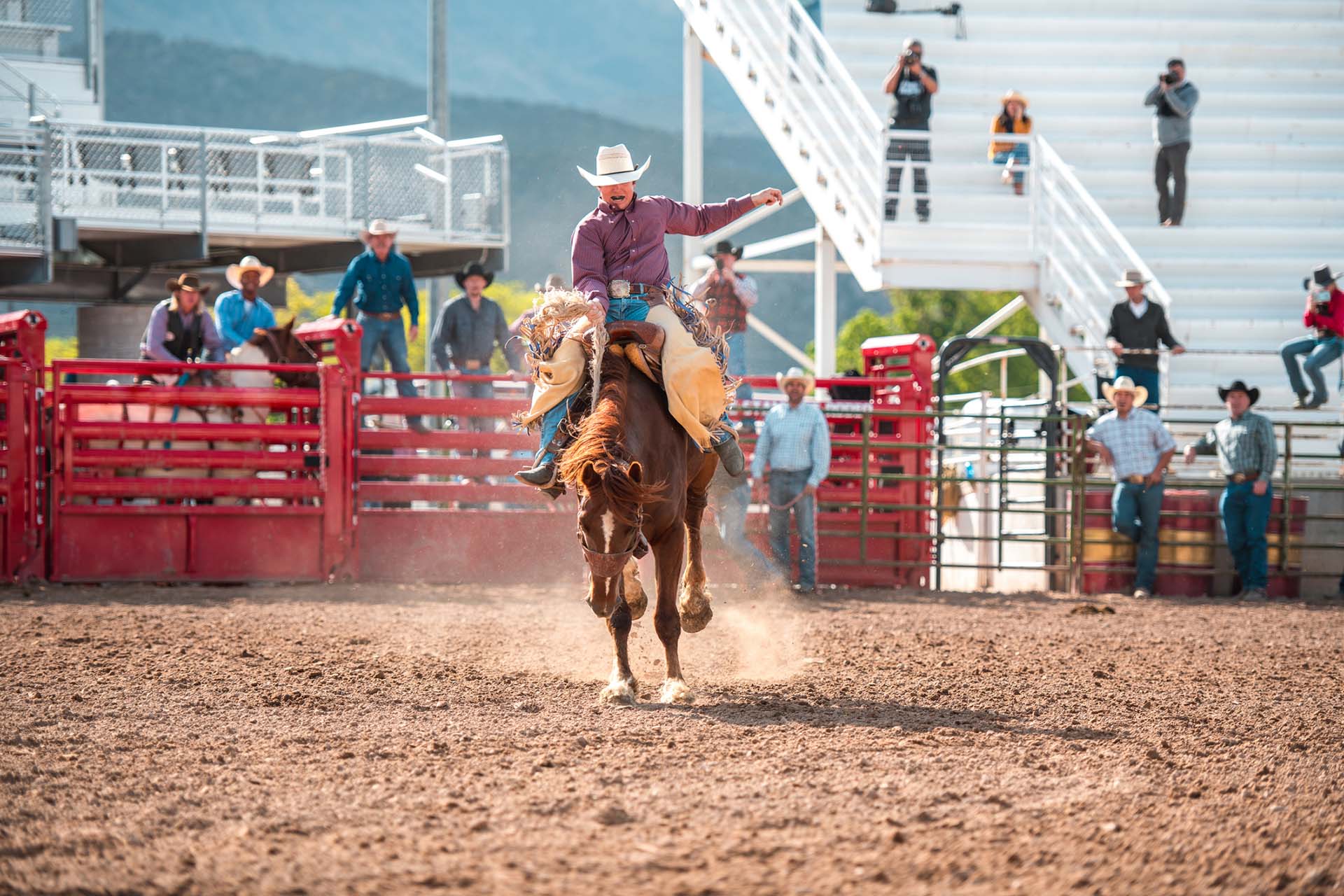 Cowboy riding a bucking bronco at the Fort Worth Rodeo